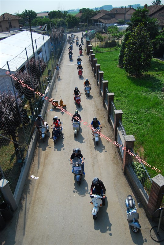 DSC_4965.JPG